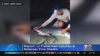 Long Island fisherman catches, release 5 sharks in one weekend