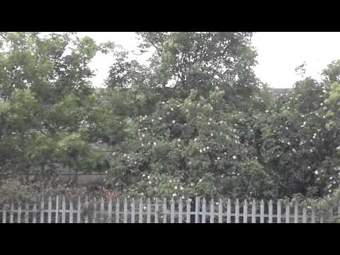 DRS 37603 & 20308 flasks at Gloucester 13/05/2011