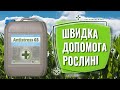 Антистрес 03 — антистресант і біостимулятор для швидкого відновлення рослин