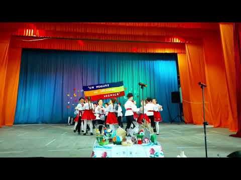 dans popular școala de Arte s.Pelinia