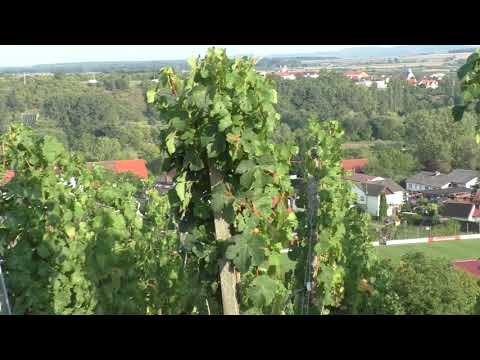 Sulzfeld - Winzerle im Weinberg