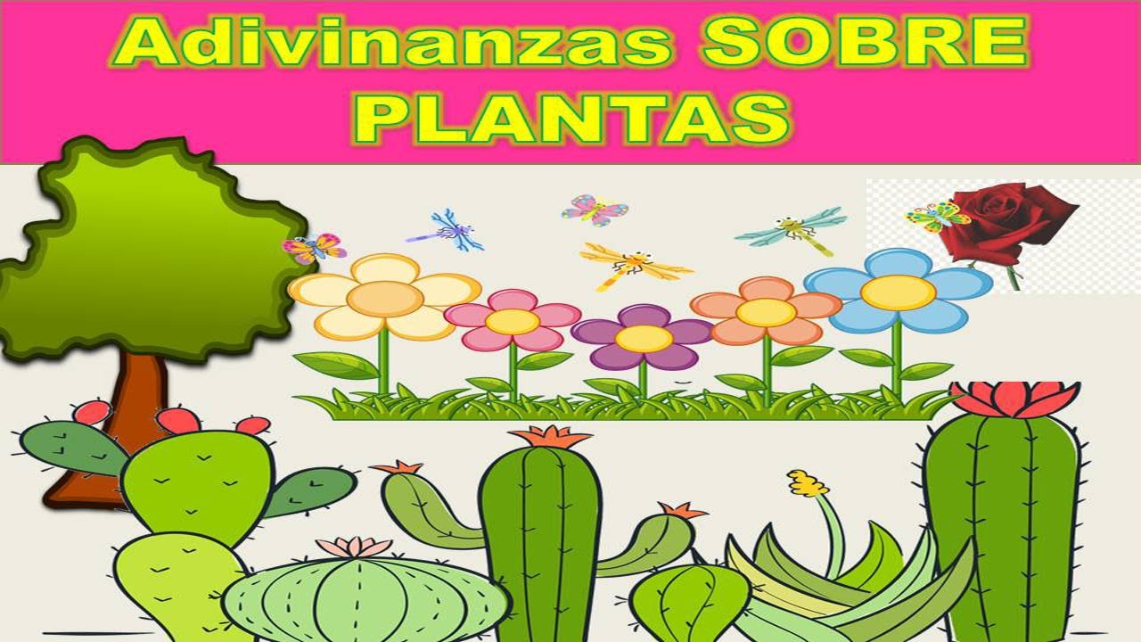5 Adivinanzas sobre Plantas.