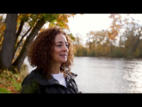 Agent Video