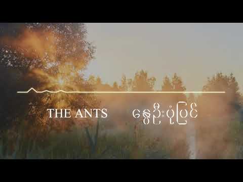 နွေဦးပုံပြင် - The Ants