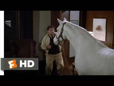 Flounder Gets Even - Animal House (4/10) Movie CLIP (1978) HD