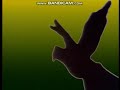 Sesame Street Shadow Puppet Parrot Gradient