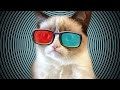 CAT MARIO EN 3D PORQUE YOLO!! - JuegaGerman ...