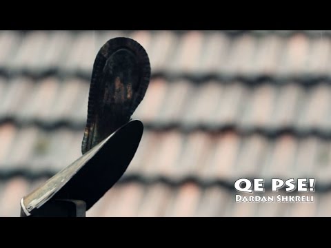 Dardan Shkreli - Qe Pse!