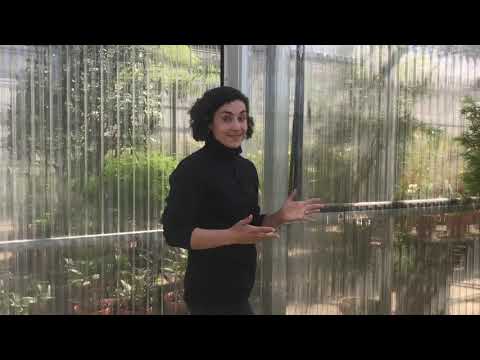 Gardner Greenhouse Tour with Erika Rumbley