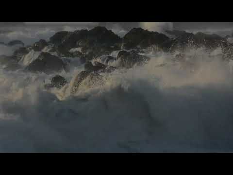 Resonant Reflections (2021)