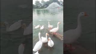 Download lagu Tere Naina Mere Naino Se Sound Check // 90 s Hits Songs Dj Remix.16 July 2025 mp3 Download lagu Tere Naina Mere Naino Se Sound Check // 90 s Hits Songs Dj Remix.16 July 2025 mp3