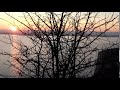 Lovely Sunset Ducks And Birds Big River Down There Romania