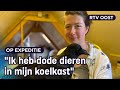 Prepareren: Yana (20) is dol op het opzetten van dieren | RTV Oost