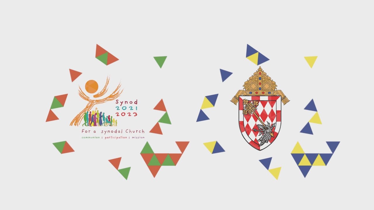 Synod on Synodality Explainer Video