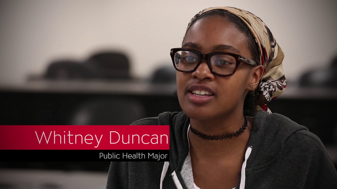 BioStats Buddy App: Student-Friendly Statistics