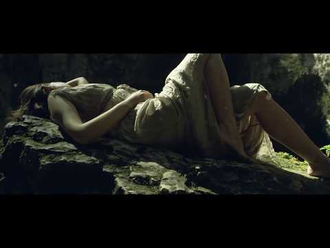 Nicolae Guta – De ce ai venit,de ce ai plecat Video