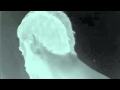Deptford Goth - Feel Real 