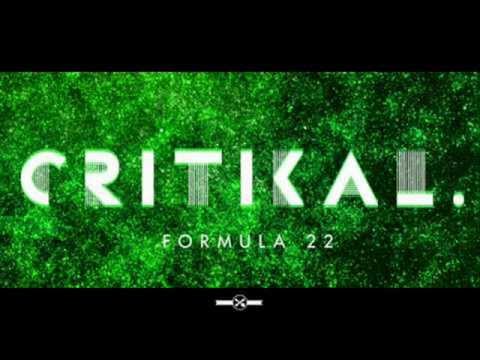 Dj Critikal feat Makaveli - Fuck em all
