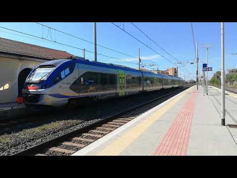 I regionali della Tirrenica toscana!