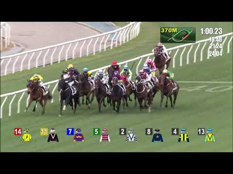 3/2/2022 (386) Maximize Heart - V Borges