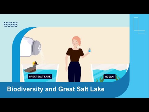 Nature at Extremes: Great Salt Lake