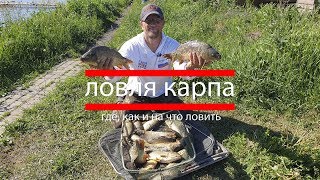Ловля карпа как ловить и когда