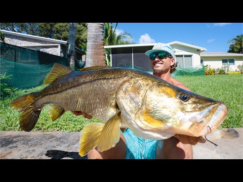 3 Days Chasing Trophy Fish from my Backyard!