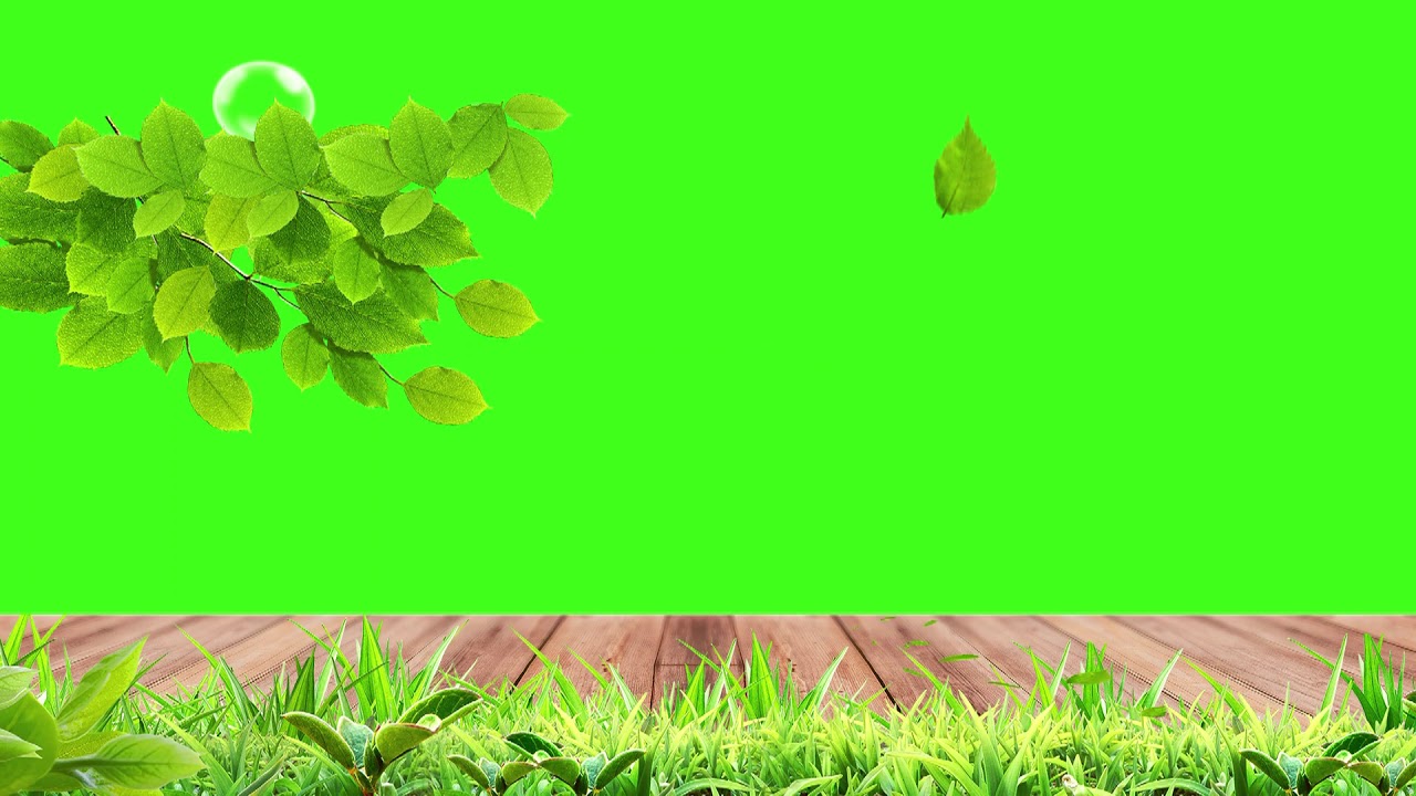 Plants  Green Screen Effects of Wind on Virtual Plants in Animation Stock Footage Video Royalty-free