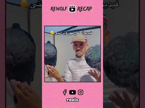 هق مشى😅 #shorts #trending #viral #memes #funny