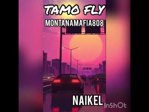 TAMO FLY🔥-Naikel