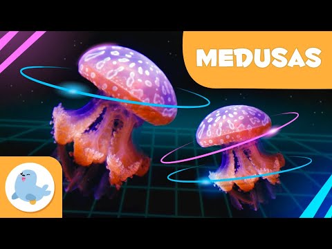 Medusa 👾 Animais para crianças 🌊 Episódio 9