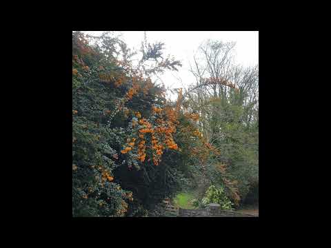 [SOLD] nothing,nowhere. x killedmyself x sewerperson x skele x oilcolor type beat - can't say why.