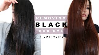 REMOVING PERMANENT BOX DYE IN HAIR & WHY IT WORKED| Easy at home remedy for colored hair, NO BLEACH