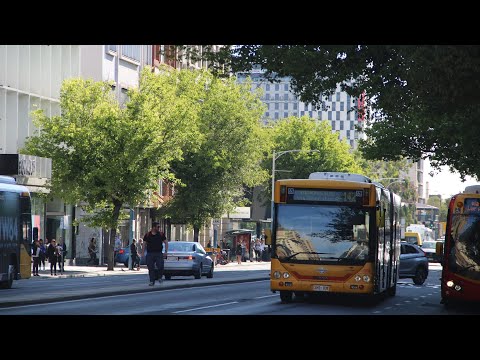 1008 - Scania L94UA, Custom CB60 combo - Torrens Transit (Adelaide Metro)