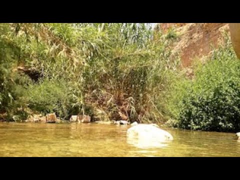 Eretz ani ohev otach