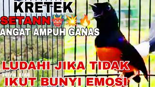 Download lagu KRETEKAN Ganas MURAI BATU||Suara Terapi MURAI BATU cepat GACOR BONGKAR ISIAN MEWAH mp3 Download lagu KRETEKAN Ganas MURAI BATU||Suara Terapi MURAI BATU cepat GACOR BONGKAR ISIAN MEWAH mp3