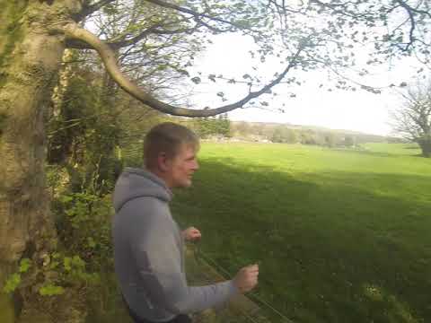 Burnleys Oldest Tree