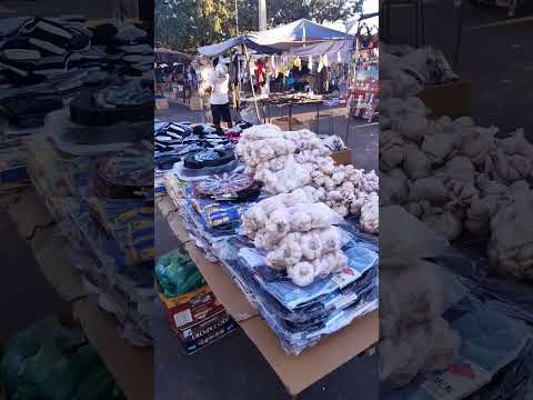 Hoje é aqui feira livre no sábado em Ipiranga do Piauí pessoal bom demais graças a Deus. 🙏 🙏 🙏