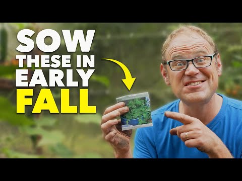 You Must Sow These Seeds in October