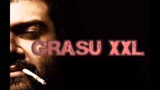 Grasu XXL feat Paco - Legende REMIX