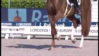 Championnats d'Europe : le podium de la reprise libre en vidéos