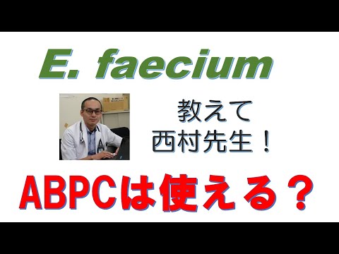 看護学科 ABPC感受性のE  faeciumにABPCは使えるか？