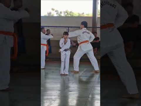 Taekwondo indiara-goias primeiro exame de faixas Coloridas 2026.atleta Helena