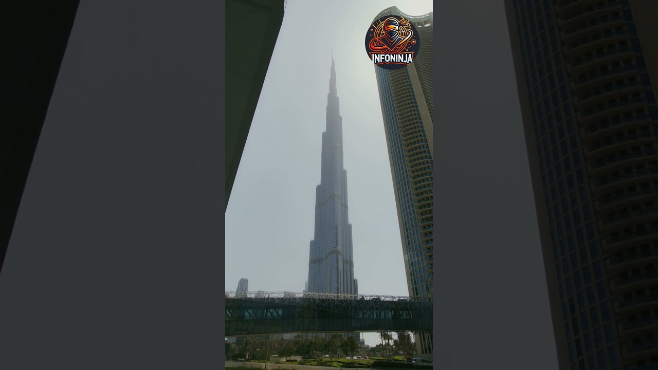 Bitwise Dogecoin ETF Registration