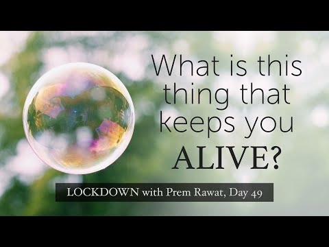 Lockdown Day 49 with Prem Rawat - What is this thing that keeps you alive?