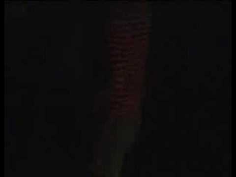 W Mega Limit (Gala,TheIv Feat. Pavlin) - Hit my heart