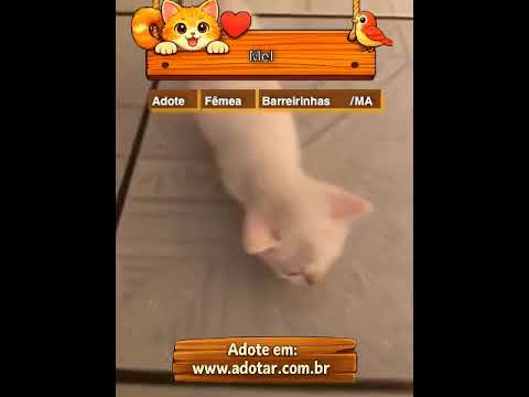 Vídeo de Mel