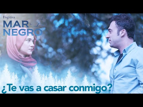 Ali quiere casarse con Esma - Mar Negro Capítulo 84 | Fugitiva