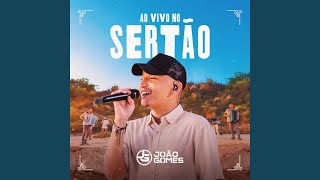 Como Eu Quero Lyrics English Translation