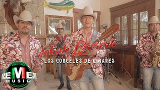 Intente Quererte Music Video